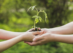 Eco-Participação-Machico_Ambiente
